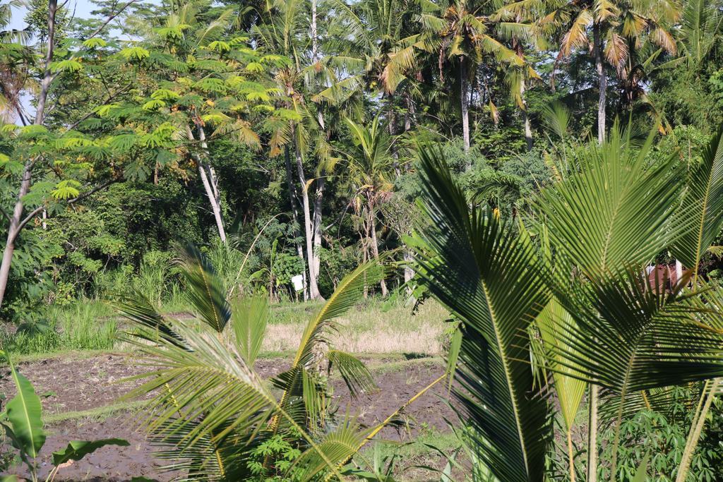Pesantian Villa And Warung Ubud  Exterior photo