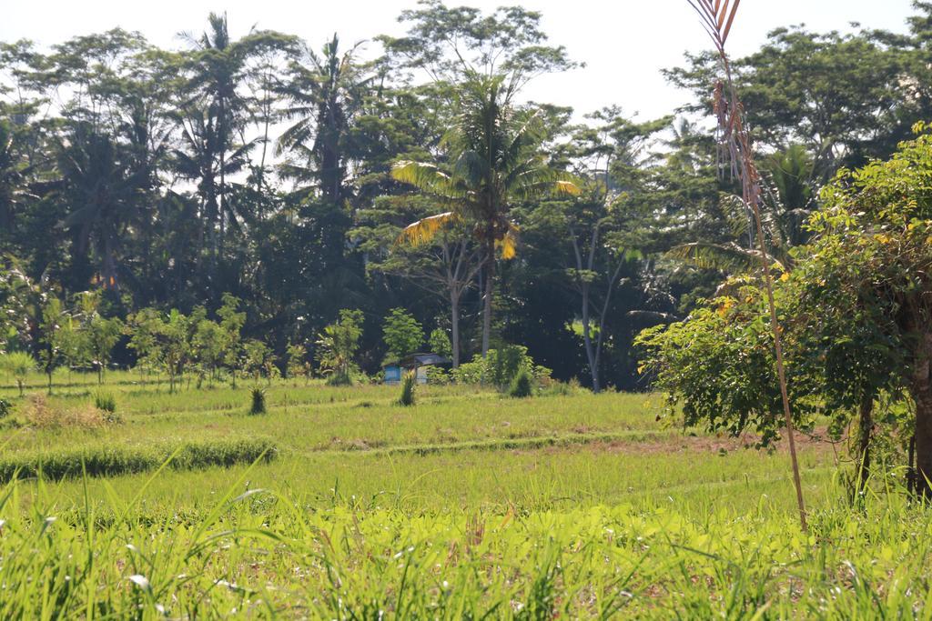 Pesantian Villa And Warung Ubud  Exterior photo