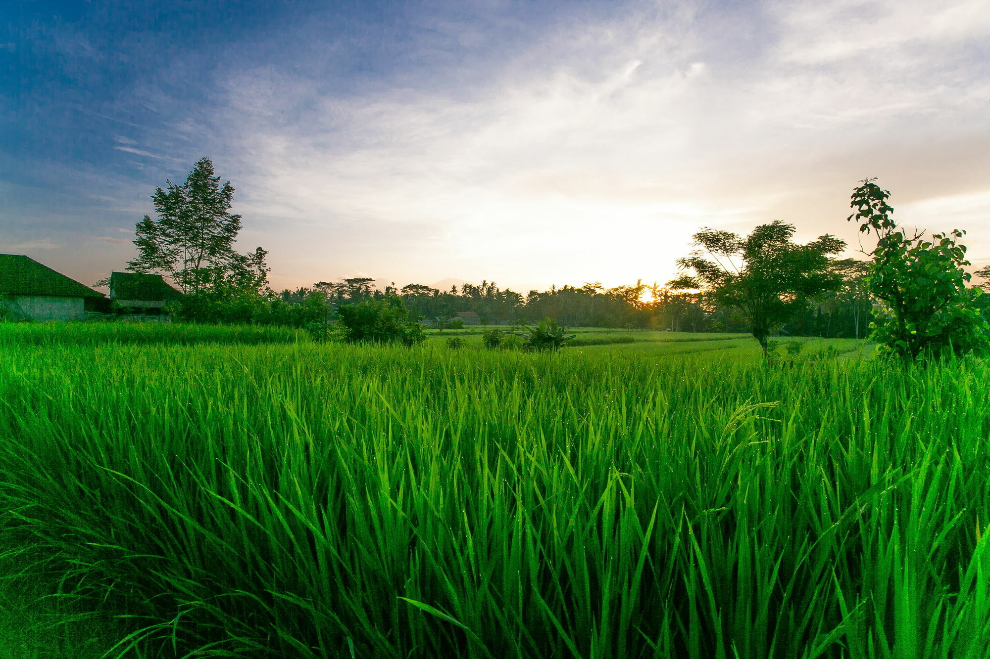 Pesantian Villa And Warung Ubud  Exterior photo